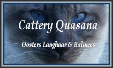 Cattery Quasana